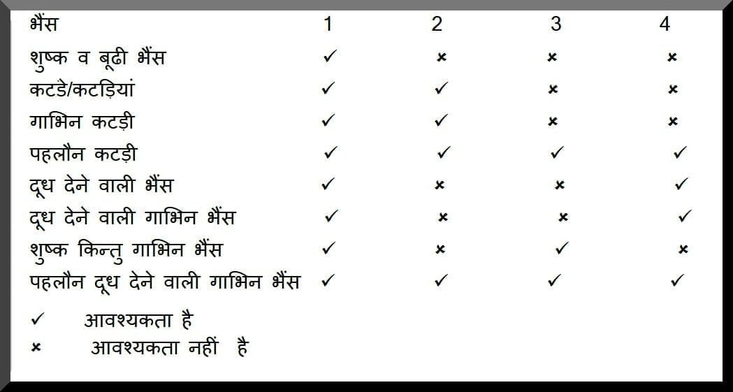भैंश पालन लाभकारी