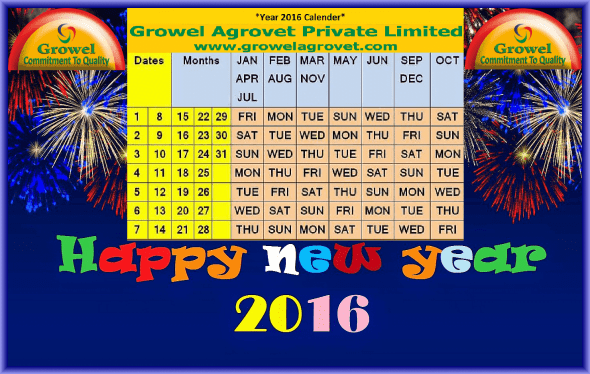 Happy New Year 2016