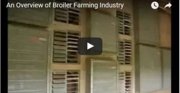 An Overview of Broiler Farming Industry.