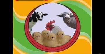 Growel Agrovet Introduction