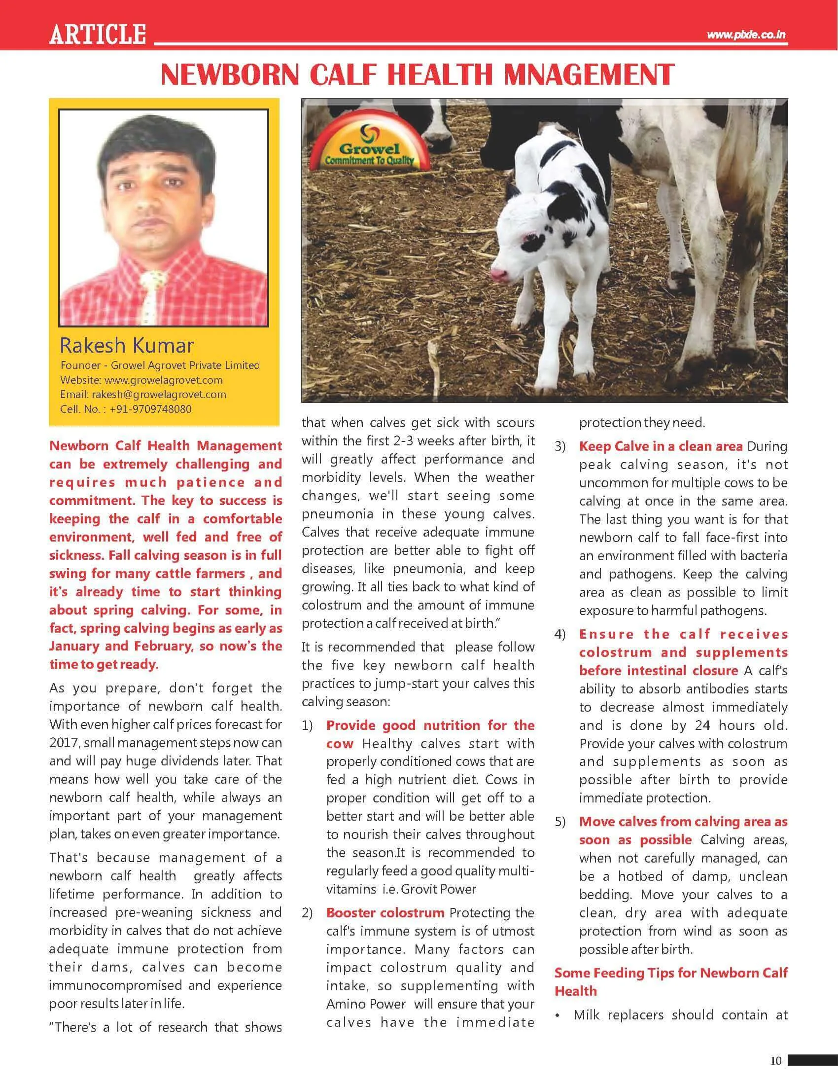 New-Born-Calf-Health-Management-Page New-Born-Calf-Health-Management-Page