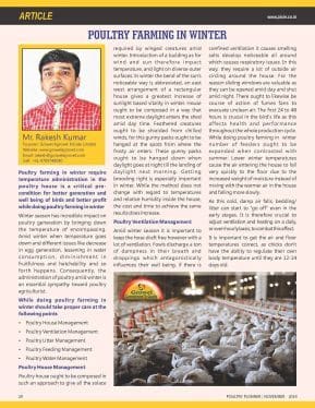 Poultry Farming in Winter