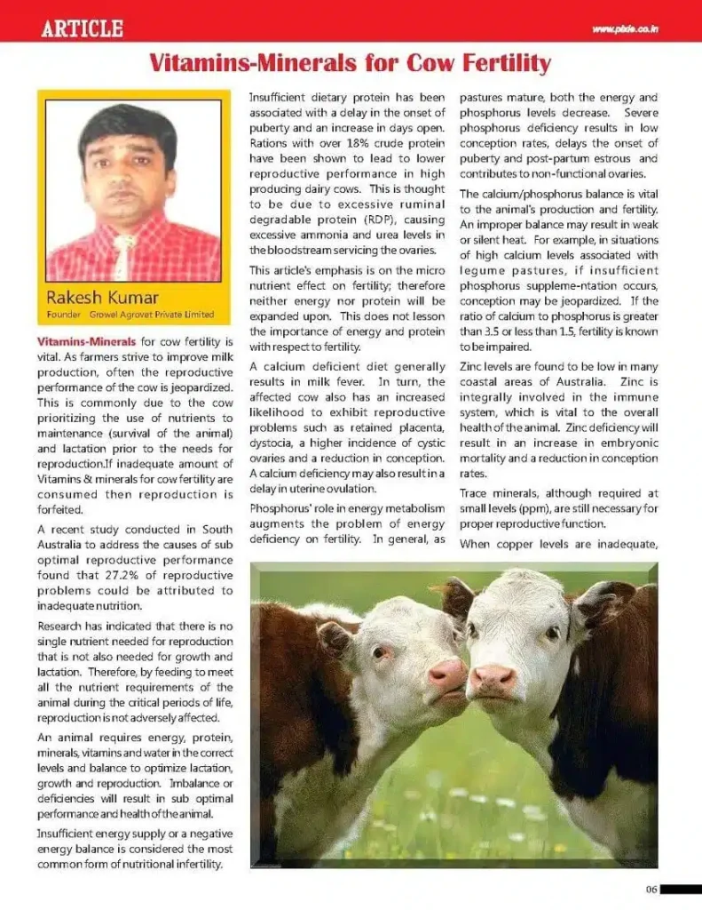 Vitamins-Minerals-for-Cow-Fertility