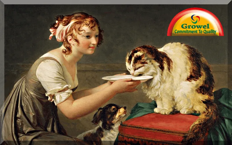 A-Brief-History-of-Dog-Cat