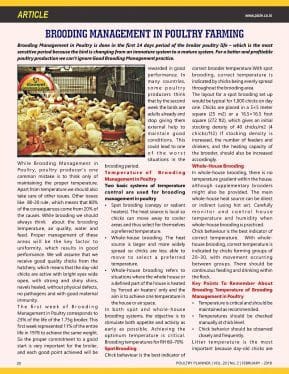 Brooding Management in Poultry