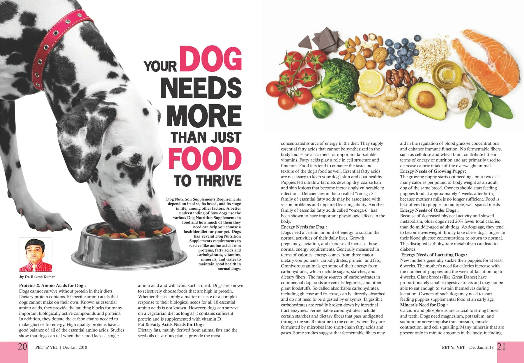 Page-1 Your Dog Needs More Than Just Food