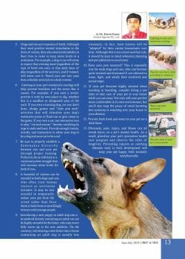 Reducing Stress & Promoting Mental Wellness of Dogs