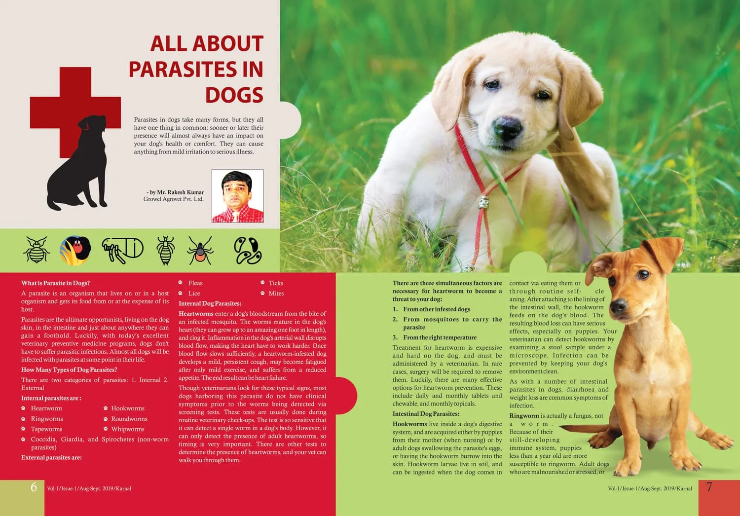 All-About-Parasites-in-Dogs-1 All-About-Parasites-in-Dogs-1