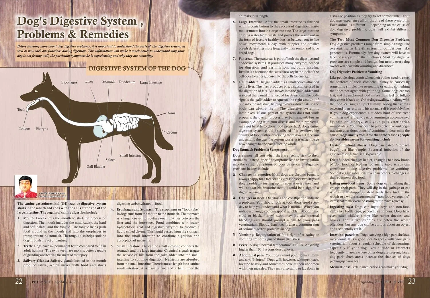 Dogs-Digestive-System-Problems-Remedies-1 Dogs-Digestive-System-Problems-Remedies-1