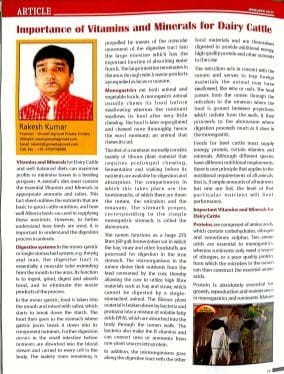 Importance of Vitamins & Minerals for Dairy Cattle
