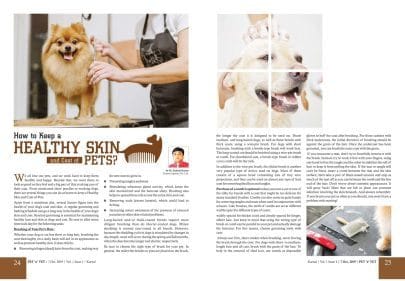 How To Keep Healthy Skin & Coat of Pets