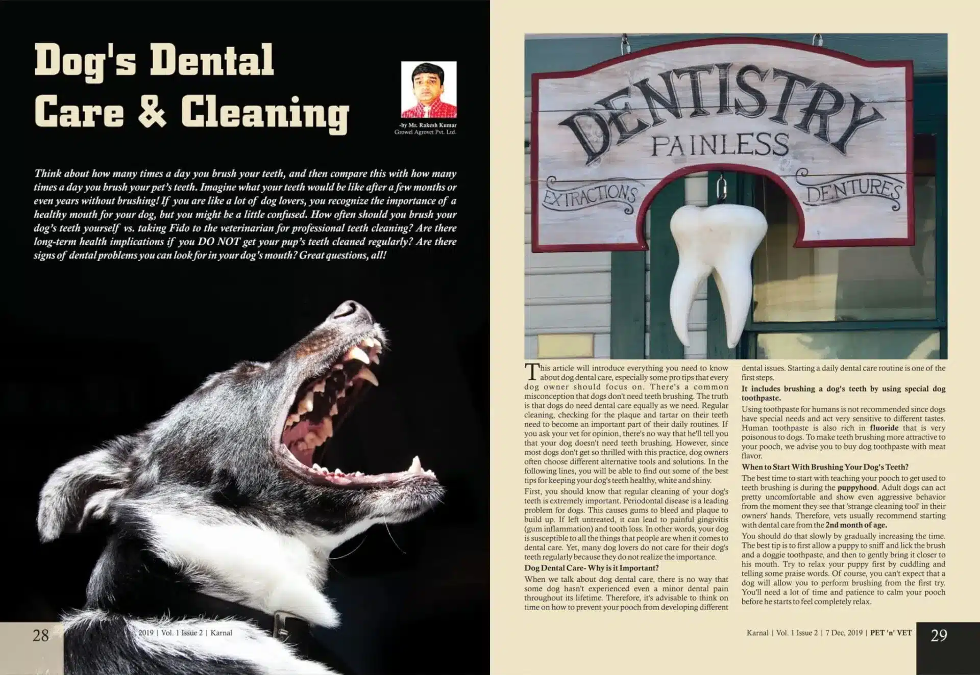 Dogs-Dental-Care-Cleaning Dogs-Dental-Care-Cleaning