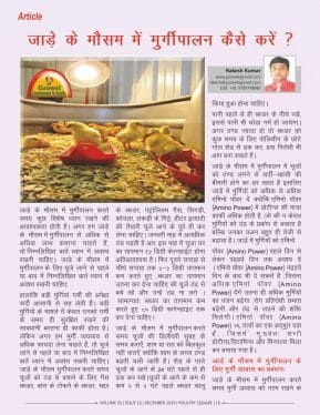 जाड़े के मौसम में मुर्गीपालन कैसे करें
