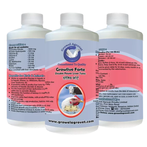 Growlive Forte - A Powerful Liver Tonic for Preventing Hepatic Disorders - Diseases, Better FCR, Growth, and Feed Intake of Dairy Cattle - Image 3