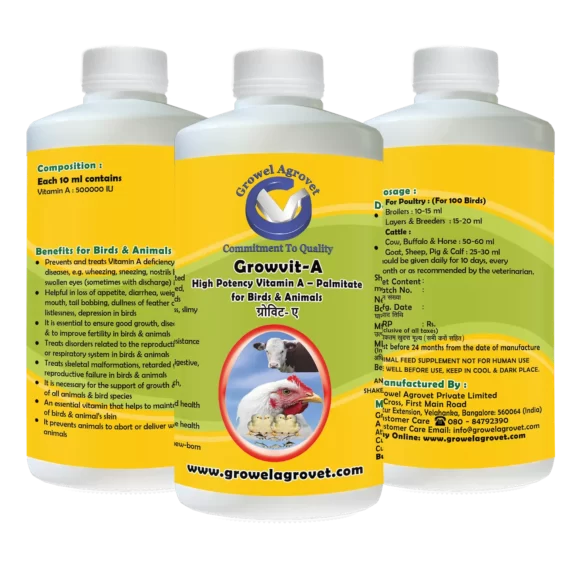 Growvit-A - High Potency Vitamin- A  for Dairy Cattle - Image 2