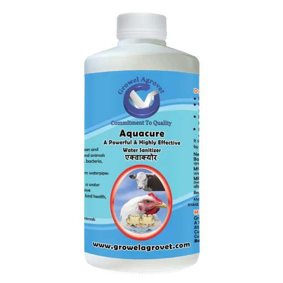 Aquacure - Powerful & Highly Effective Water Sanitizer & Acidifier for Dairy Cattle