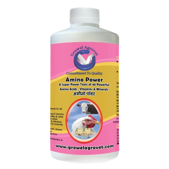 Amino Power - A combination of  46 Amino Acids, Vitamins, and Minerals for Growth and Immunity of Dairy Cattle