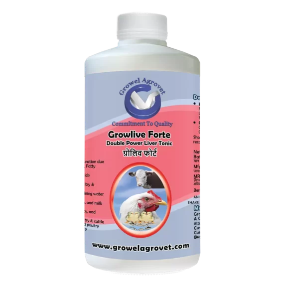 Growlive Forte - A Powerful Liver Tonic for Preventing Hepatic Disorders - Diseases, Better FCR, Growth, and Feed Intake of Dairy Cattle