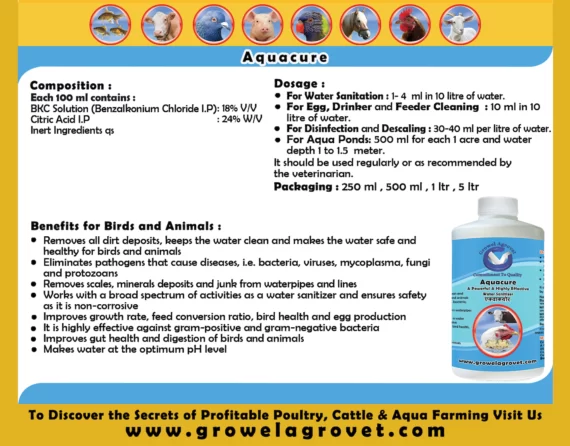 Aquacure - Powerful & Highly Effective Water Sanitizer & Acidifier for Dairy Cattle - Image 3