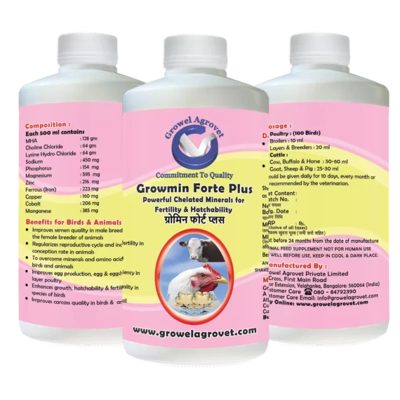 Growmin Forte Plus - Chelated Minerals Supplements for Dairy Cattle - Image 3