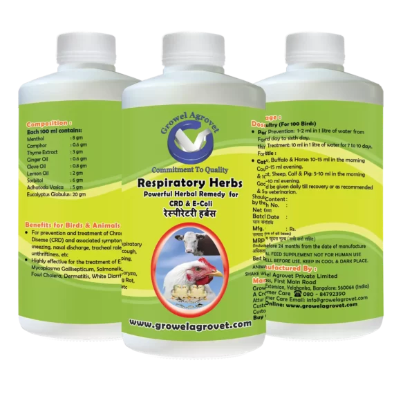 Respiratory Herbs - Respiratory Disease Medicine for Pigeons - Image 3