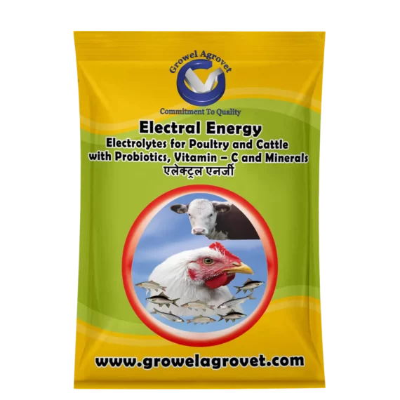 Electral Energy - Electrolytes  for Dairy Cattle with Vitamins, Minerals & Probiotics