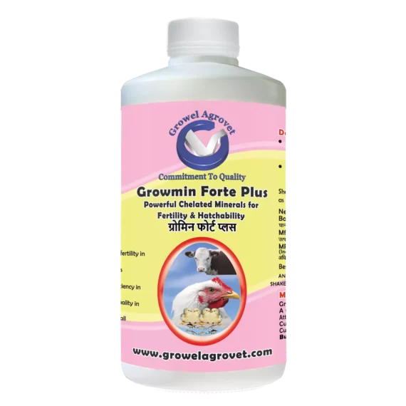 Growmin Forte Plus - Chelated Minerals Supplements for Dairy Cattle