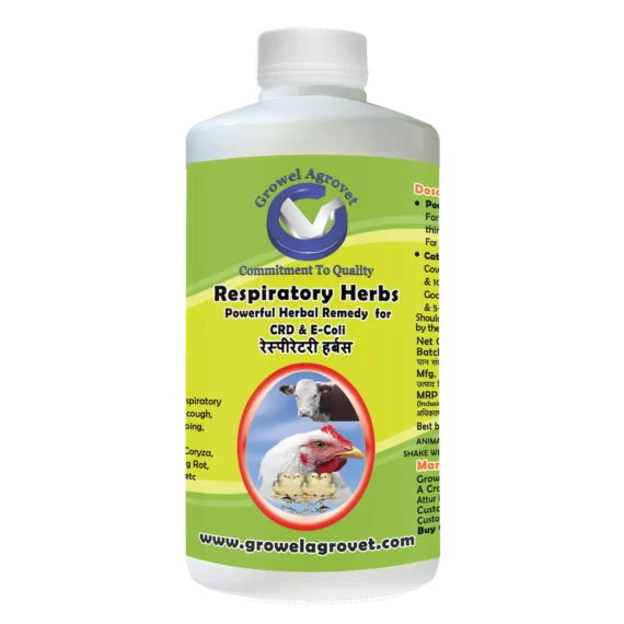 Respiratory Herbs - Respiratory Disease Medicine for Pigeons