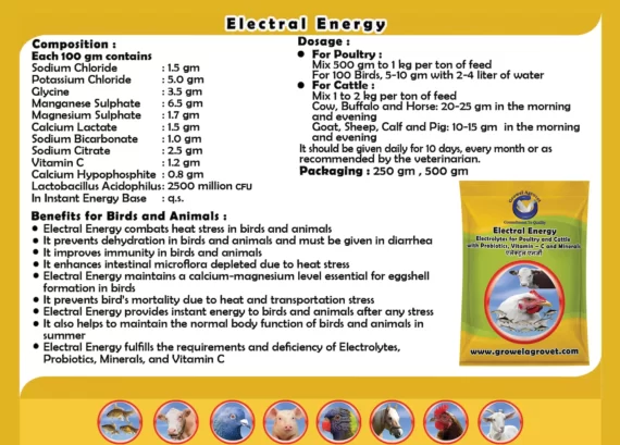 Electral Energy - Electrolytes  for Dairy Cattle with Vitamins, Minerals & Probiotics - Image 3