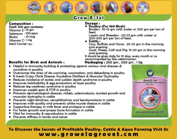 Grow E-Sel  - Vitamin - E with Selenium, Biotin, and Vitamin - C for Dairy Cattle - Image 3