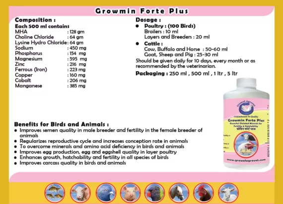 Growmin Forte Plus - Chelated Minerals Supplements for Dairy Cattle - Image 4