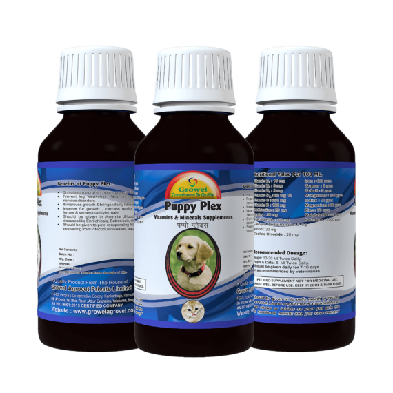 Puppy Plex: Vitamin B with Vitamin E, Vitamin C, Amino Acids, and Minerals for Dog and Cat - Image 3