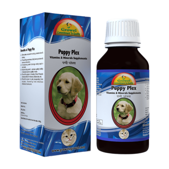 Puppy Plex: Vitamin B with Vitamin E, Vitamin C, Amino Acids, and Minerals for Dog and Cat