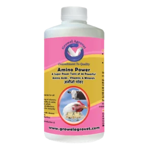 Amino Power - A Combination of 46 Amino Acids, Vitamins, and Minerals for the Growth, Weight Gain and Immunity of Birds, Animals and Aquaculture