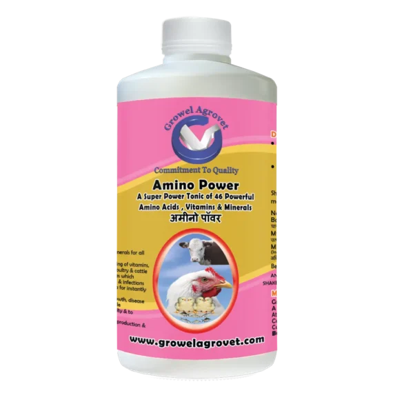 Amino Power - A Combination of 46 Amino Acids, Vitamins, and Minerals for the Growth, Weight Gain and Immunity of Birds, Animals and Aquaculture