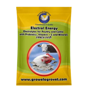 Electral Energy – Electrolytes With Vitamins, Minerals & Probiotics Birds And Animals.