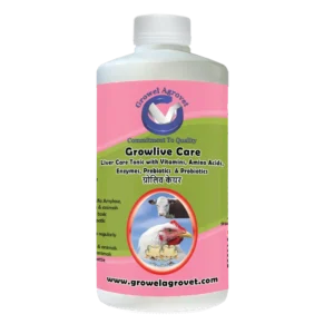 Growlive Care Liver Tonic with Vitamins, Amino Acids, Probiotics, for Poultry, Cattle, Horses, Pigs, Goats, Sheep, Pigeons, and Birds.