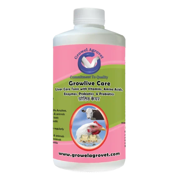 Growlive Care Liver Tonic with Vitamins, Amino Acids, Probiotics, for Poultry, Cattle, Horses, Pigs, Goats, Sheep, Pigeons, and Birds.