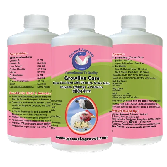 Growlive Care Liver Tonic with Vitamins, Amino Acids, Probiotics, for Poultry, Cattle, Horses, Pigs, Goats, Sheep, Pigeons, and Birds.