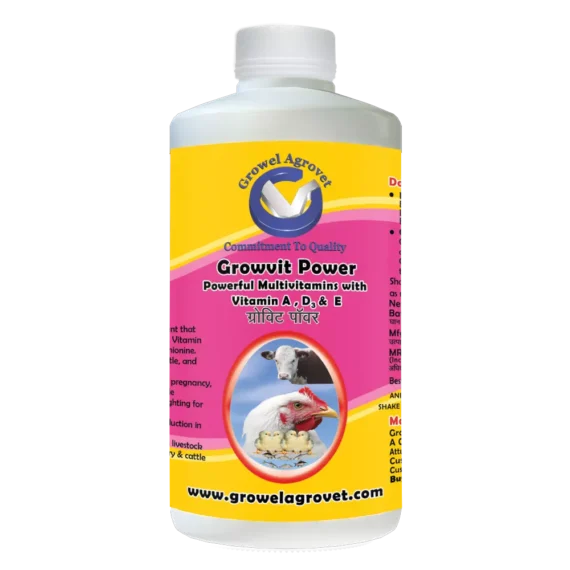 Growvit Power – A Powerful Multivitamin (Vitamin AD3E) For poultry, cattle, horses, pigs, goats, cows, pet birds, and pigeons.