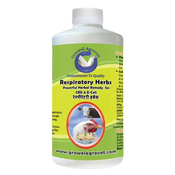 Respiratory Herbs – Respiratory Diseases And E – Coli Medicine For Birds And Animals