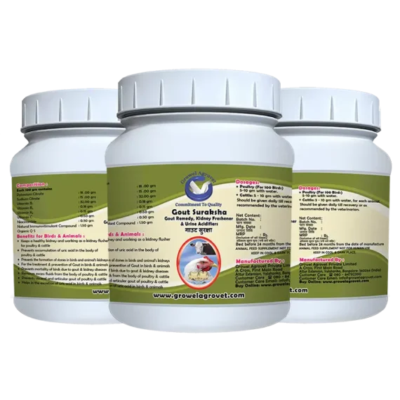 Gout Suraksha - Gout Medicine, Kidney Freshener & Urine Acidifiers for Poultry and Animals