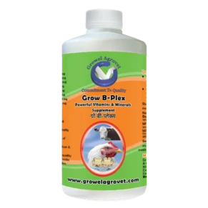 Vitamins, Amino Acids And Minerals For Poultry,Cattle,Horse,Goat,Sheep,Pig,Cow Birds And Pigeons