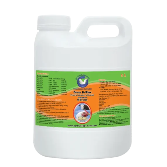 Vitamins, Amino Acids And Minerals For Poultry,Cattle,Horse,Goat,Sheep,Pig,Cow Birds And Pigeons