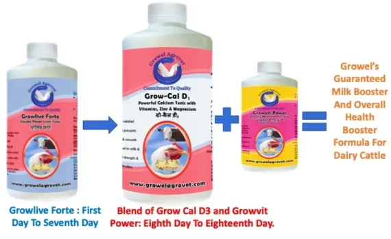 Growel Guaranteed Milk Booster And Overall Health Booster Formula For Dairy Cattle