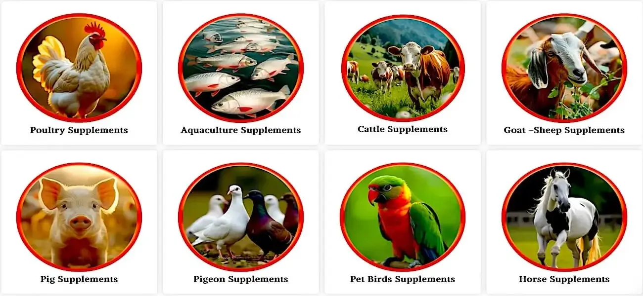 Growel exports veterinary medicines worldwide – India-based manufacturer serving global animal health markets.