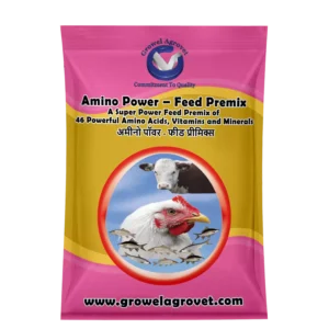 Feed Premix: A Super Power Feed Premix with 46 Amino Acids, Vitamins and Minerals for Aquaculture,Poultry, Cattle, Horses, Pigs, Goats and Sheep