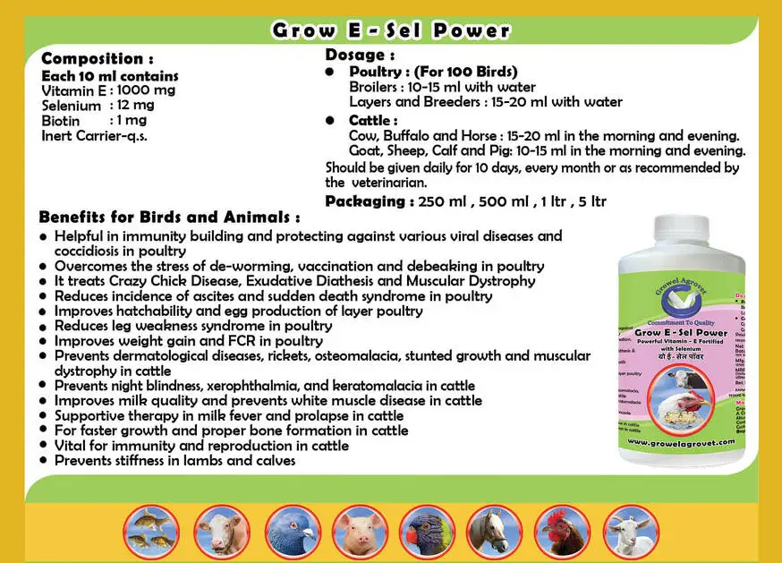 GROW-E-SEL-POWER-4