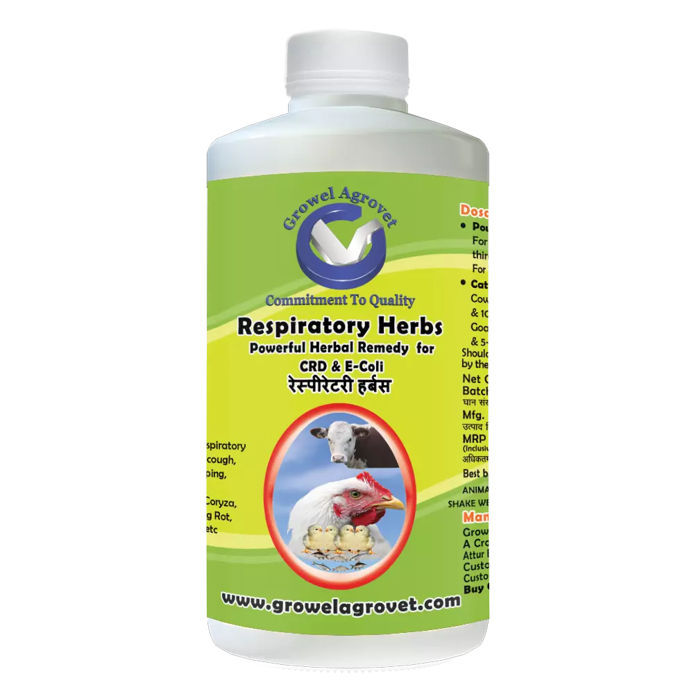 Respiratory_Herbs-1