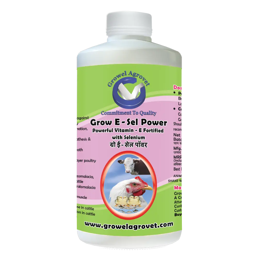 Grow E-Sel Power - Veterinary Vitamin E Selenium and Biotin - Image 2
